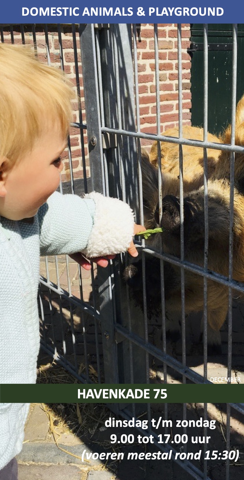 Stadsboerderij 't Waaygat Kinderboerderij Scheveningen December