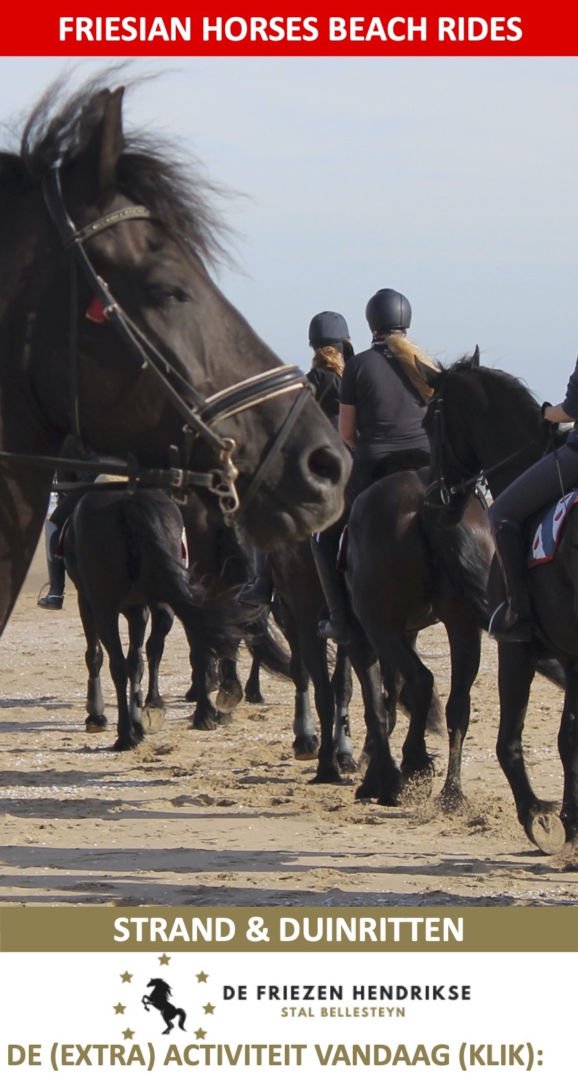 Paardrijden Strand Duinen Wassenaar Scheveningen De Friezen