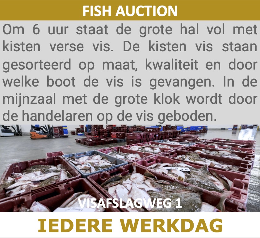 Visafslag Scheveningen Fish Auction
